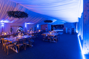 LED Venue Light Strips